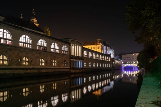 Iconic building of the central market in Ljubljana illuminated at night, the bridge of Preseren sqare in the background, Slovenia