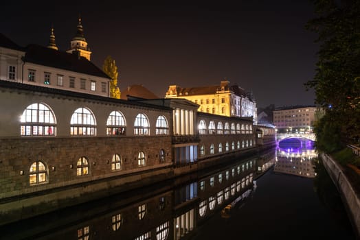 Iconic building of the central market in Ljubljana illuminated at night, the bridge of Preseren sqare in the background, Slovenia