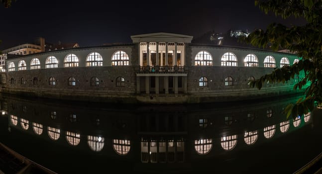 Iconic building of the central market in Ljubljana illuminated at night, Slovenia