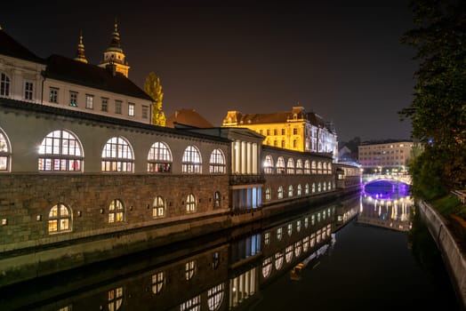 Iconic building of the central market in Ljubljana illuminated at night, the bridge of Preseren sqare in the background, Slovenia
