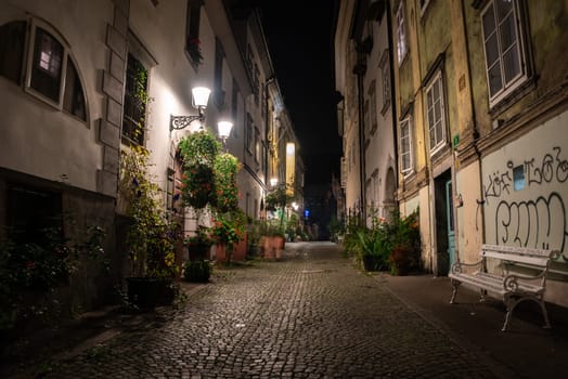 Scenic little Krizevniska alley in Ljubljana illuminated at night, arranged with plants at the sides, Slovenia