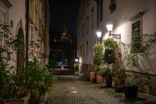 Scenic little Krizevniska alley in Ljubljana illuminated at night, arranged with plants at the sides, Slovenia