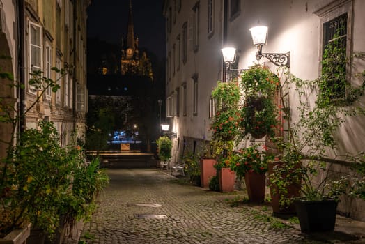 Scenic little Krizevniska alley in Ljubljana illuminated at night, arranged with plants at the sides, Slovenia