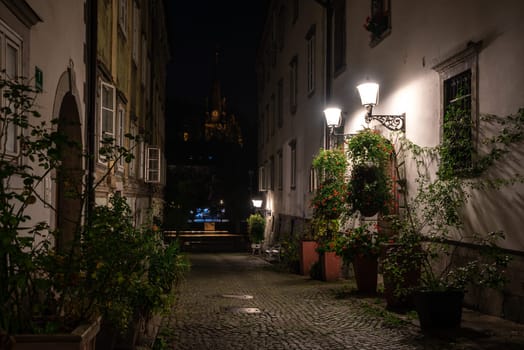 Scenic little Krizevniska alley in Ljubljana illuminated at night, arranged with plants at the sides, Slovenia