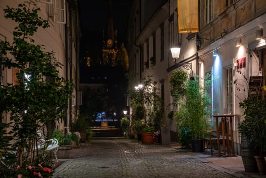 Scenic little Krizevniska alley in Ljubljana illuminated at night, arranged with plants at the sides, Slovenia