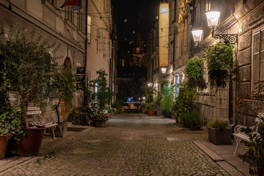 Scenic little Krizevniska alley in Ljubljana illuminated at night, arranged with plants at the sides, Slovenia