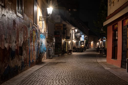 Scenic abandoned alley Trubarjeva in the city center of Ljubljana at night, Slovenia
