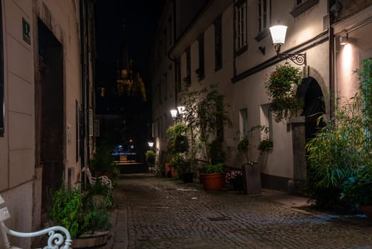 Scenic little Krizevniska alley in Ljubljana illuminated at night, arranged with plants at the sides, Slovenia
