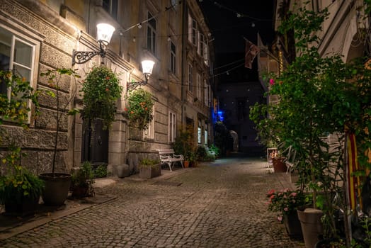 Scenic little Krizevniska alley in Ljubljana illuminated at night, arranged with plants at the sides, Slovenia
