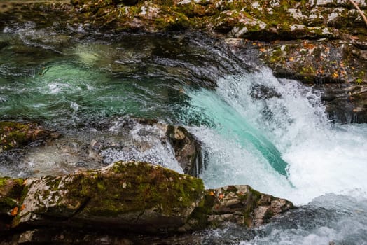Scenic wild river flowing through the Vintgar gorge, Slovenia
