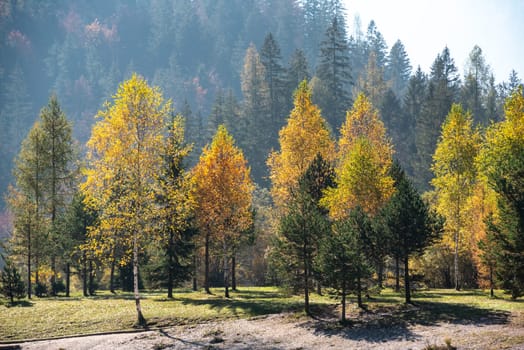 Scenic autumn forest at Crystal Lake in the Julian Alps, Slovenia