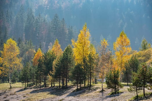 Scenic autumn forest at Crystal Lake in the Julian Alps, Slovenia