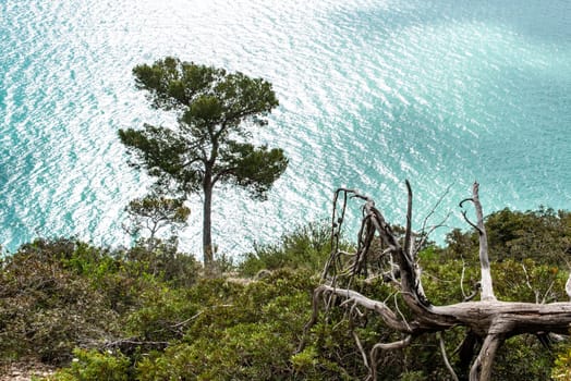 Hiking the famous Nature Trail Mergoli Vignanotica, Gargano Peninsula in Southern Italy