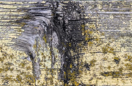 Old dry weathered wood background texture with cracked planks with wood grain and a few sparse remnants of yellow paint, full frame