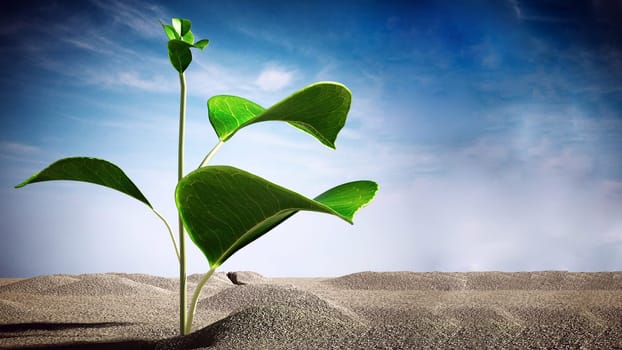 Sprout growing on the desert. 3D illustration.