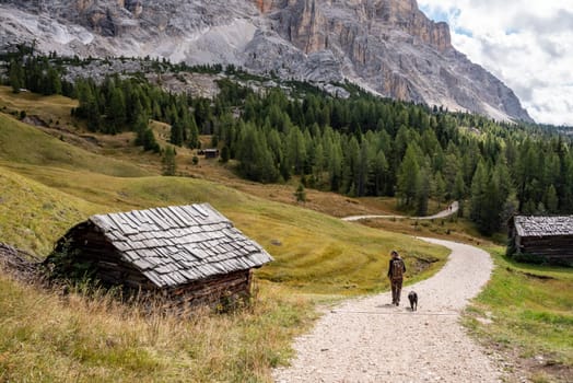 Typical meadow with a hay shed in the Dolomite Alps in the Fanes Sennes Prags Nature Park, South Tirol in Italy