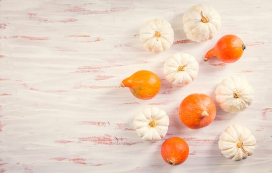 White and orange pumpkins on wooden background. Thanksgiving and autumn concept.