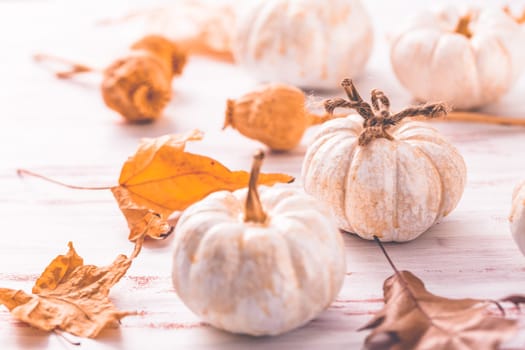 White pumpkins, poppy heads and autumn leaves on wooden background. Thanksgiving and autumn concept.