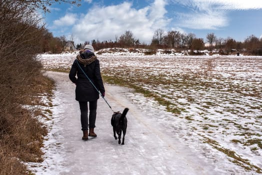 A walk with the dog during a beautiful winter day around Munich
