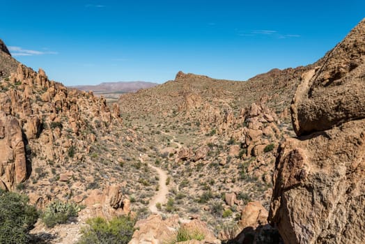 Hikeng the dry Grapevine Hills in the Big Bend National Park in USA