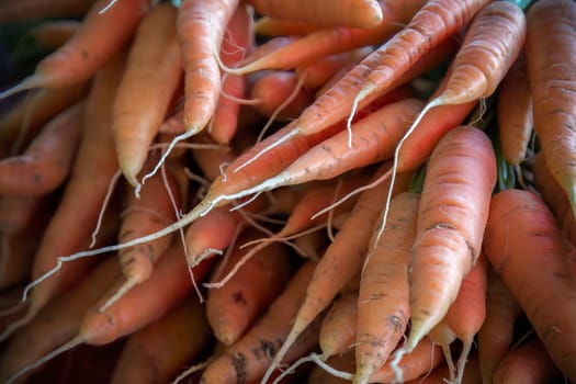 many organic carrots at the farm market vegetable heap orange background