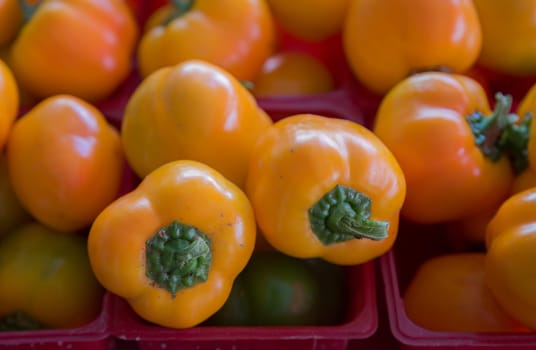 bell pepper orange fruit vegetable at the farm market vegetarian organic food diet fresh snack stack