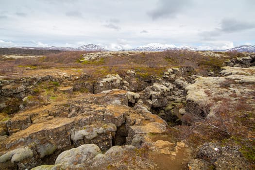Crevice overgrown with mosses in Thingvellir National Park, Iceland