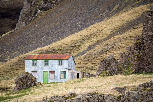 Deserted old house, reindeer grazing in front, Iceland