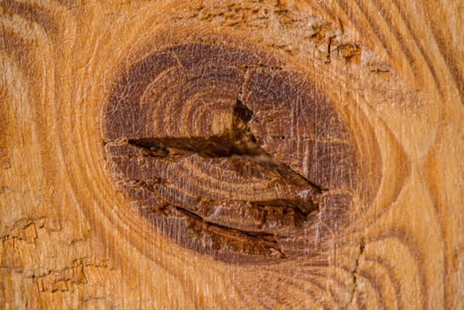 old plank with crack and knothole
