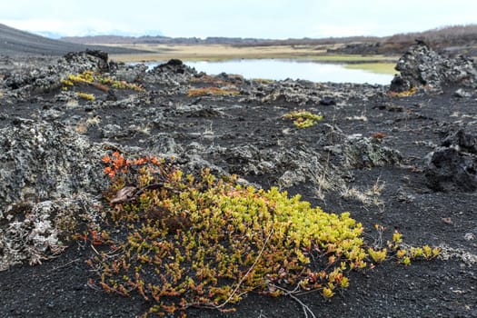 Landscape around Hverfjall crater in Myvatn, Iceland