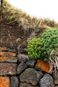 Turf houses built in traditional manner, Northern Iceland