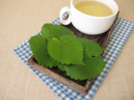 Mulberry leaf tea: herbal tea from white mulberry leaves