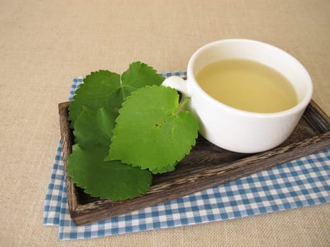 Mulberry leaf tea: herbal tea from white mulberry leaves