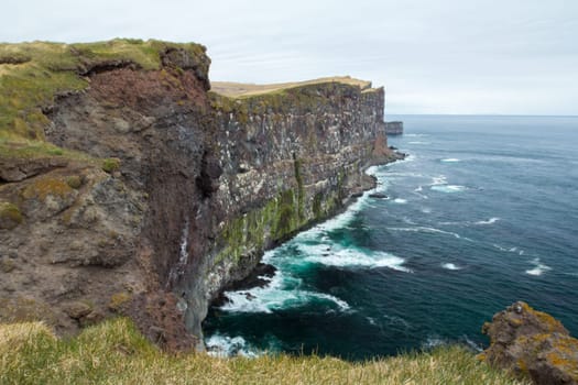 Cliffs of Latrabjarg in the Westfjords, a famous bird breeding place in Iceland