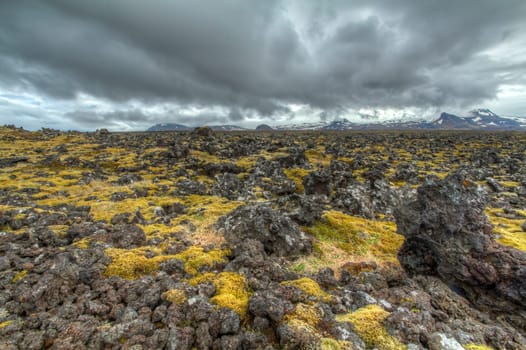 Wide landscape with lava stones and moss at Snaefellsjokull, Iceland