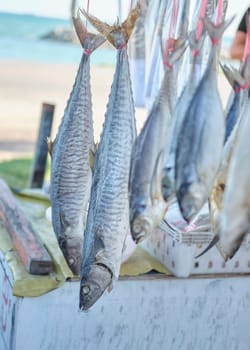 Salted fish hanging on market at Rayong, Thailand