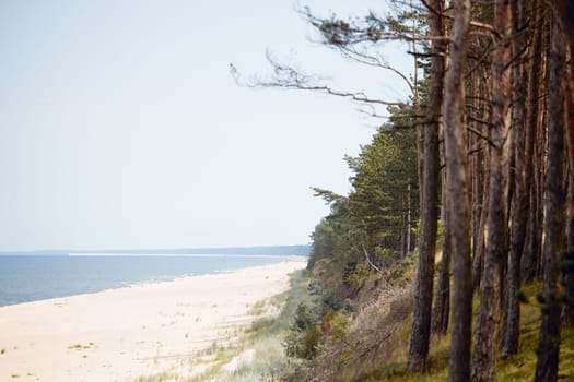 Seashore landscape. Sand beach and forest scene. Calm scene. Summer vacation concept. Leisure time close to nature. Travel concept. Nature background. Beauty in nature