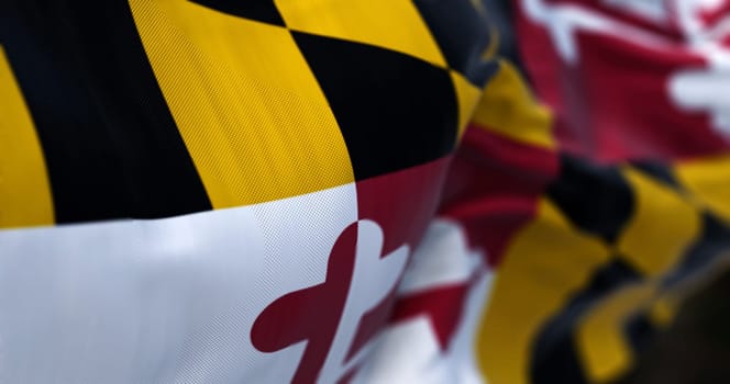 Close-up of Maryland state flag waving. four quadrants with the colors of the Calvert and Crossland families. 3d illustration render. Selective focus. Waving fabric background