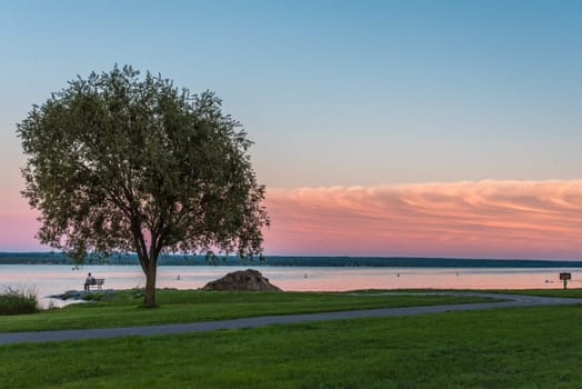 Person sitting at a lake beneath a tree during sunset