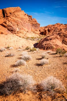 Rock formations in Valley of Fire State Park in Nevada