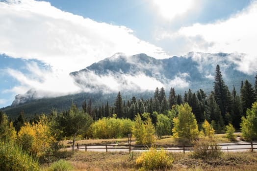 Clouds hanging over a forest in the Rocky Mountains NP, USA