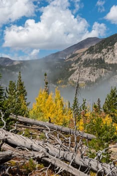 Beautiful autumn forest in Rocky Mountain National Park, USA