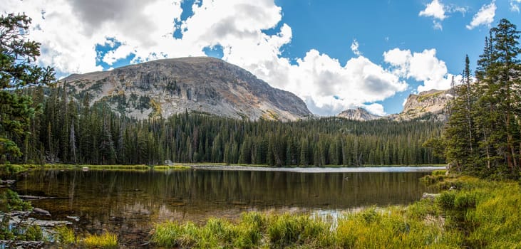 Calm lake Spruce in the middle of the Rocky Mountains NP, USA