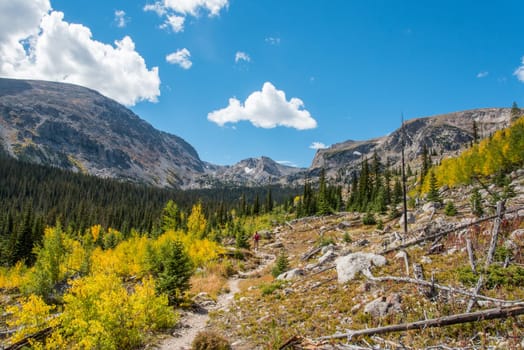 Beautiful autumn forest in Rocky Mountain National Park, USA