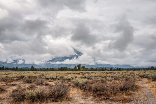 Panoramic view of the Grand Teton mountain chain in Wyoming, USA