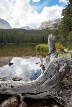 Calm lake Spruce in the middle of the Rocky Mountains NP, USA