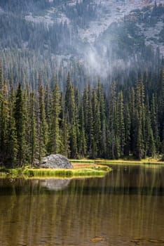 Calm lake Spruce in the middle of the Rocky Mountains NP, USA
