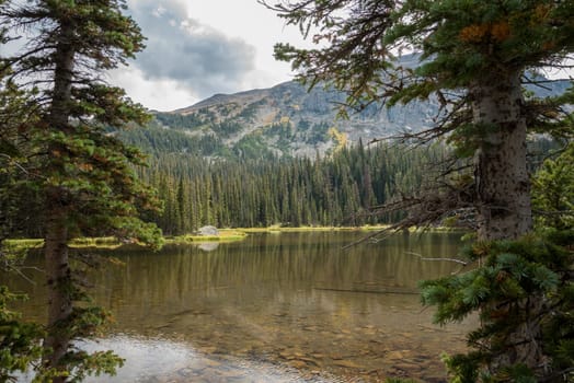 Calm lake Spruce in the middle of the Rocky Mountains NP, USA