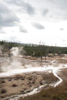 Steaming Mud Pod Area in famous Yellowstone National Park, USA