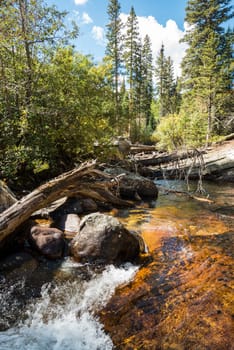 A river flowing through the woods of Rocky Mountain National Park, USA
